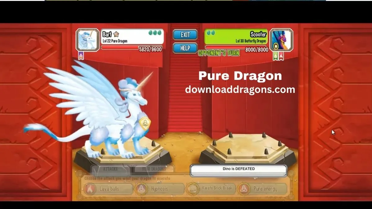 Pure Dragon
